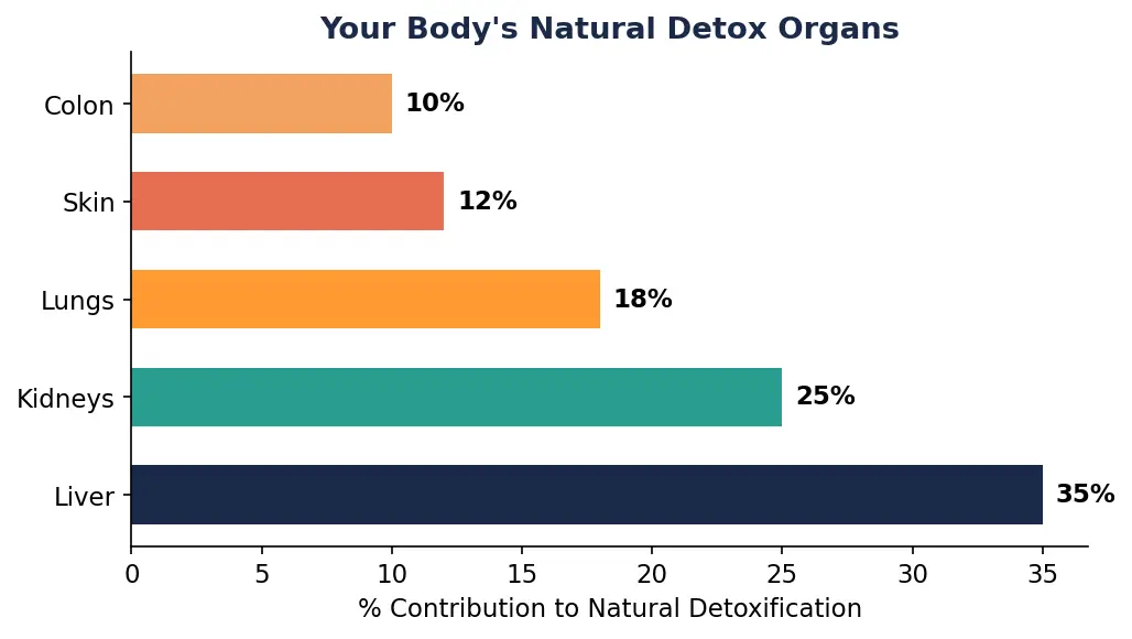 Detox Diet Plan Detox Diet Plan